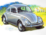 1996 Model Volkswagen Beetle 1300 Car