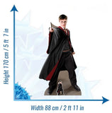 Harry Potter cardboard cut-out