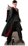 Harry Potter cardboard cut-out