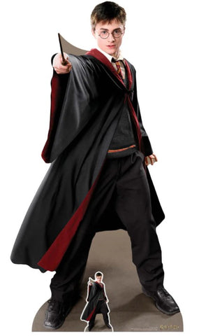 Harry Potter cardboard cut-out