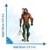 Aquaman cardboard cut-out