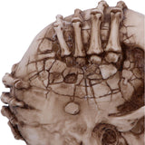 Breaking Out Skull Skeleton Ornament