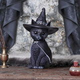 Purrah Witch Cat Cult Cuties Figurine