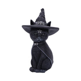 Purrah Witch Cat Cult Cuties Figurine