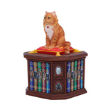 Mad About Cats Box Figurine
