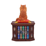 Mad About Cats Box Figurine