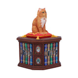 Mad About Cats Box Figurine