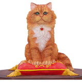 Mad About Cats Box Figurine