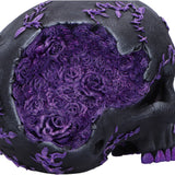 Rose Geode Skull Black and Purple Figurine
