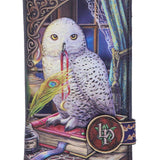 Guardian of Spells Embossed Purse