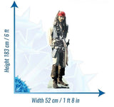Captain Jack Sparrow cardboard cut-out