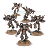 Warhammer Chaos Space Marines: Raptors