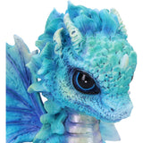 Blue Poppy Flower Dragon Figurine