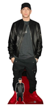 Eminem cardboard cut-out