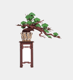 Evergreen Pine Bonsai Wooden 3D Puzzle