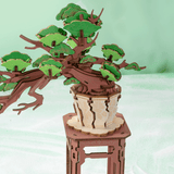 Evergreen Pine Bonsai Wooden 3D Puzzle
