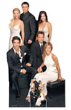 Friends (Group) cardboard cut-out