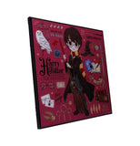 Harry Potter Crystal Clear Picture