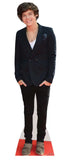 Harry Styles cardboard cut-out