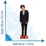 Harry Styles cardboard cut-out