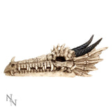 Draco Dragon Skull Incense Holder