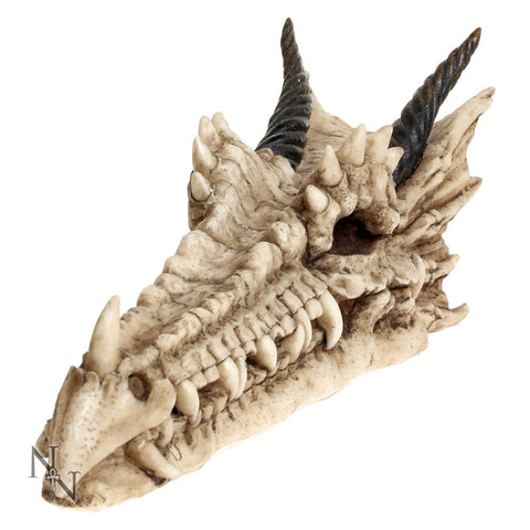 Draco Dragon Skull Incense Holder