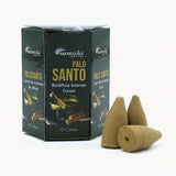Aromatika Masala Backflow Incense Cones