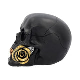 Black Rose From The Dead Skull