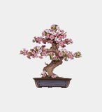 Sakura Bonsai 3D Wooden Puzzle