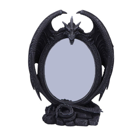 Mirror Scaled Reflection