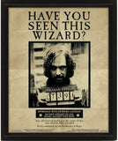 Harry and Sirius 3D Lenticular Print