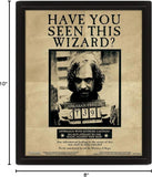 Harry and Sirius 3D Lenticular Print
