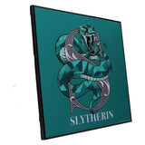 Slytherin Crystal Clear Picture
