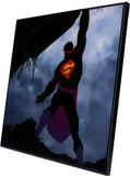 Superman The New 52 Super Strength Crystal Clear Picture