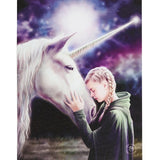 The Wish Canvas Picture