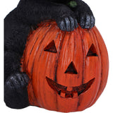 Trick or Treat Cat with Pumpkin Figurine
