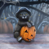 Trick or Treat Cat with Pumpkin Figurine