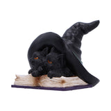 Potion Pair Witches Cat Figurine