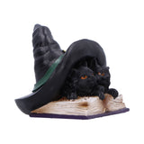 Potion Pair Witches Cat Figurine