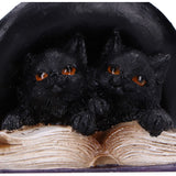 Potion Pair Witches Cat Figurine