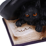 Potion Pair Witches Cat Figurine