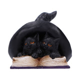Potion Pair Witches Cat Figurine