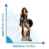 Justice League Wonder Woman cardboard cut-out