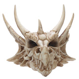 Collectible Dragon Skull